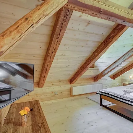 Beskidzka Przystan 別荘 *