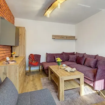 Beskidzka Przystan 別荘 *