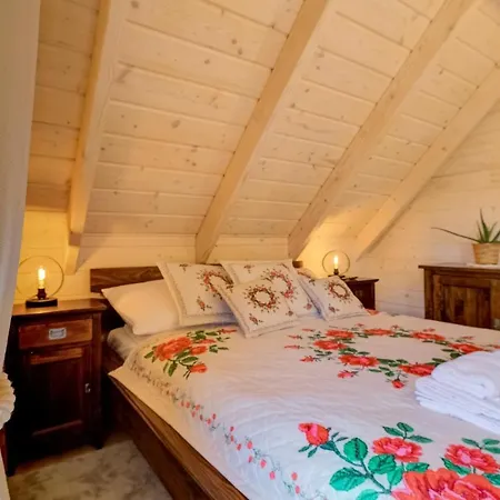 別荘 Beskidzka Przystan *