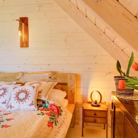 Beskidzka Przystan 別荘 *