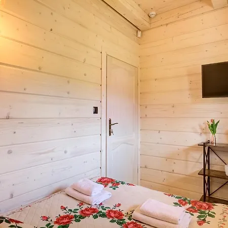 Beskidzka Przystan 別荘 *