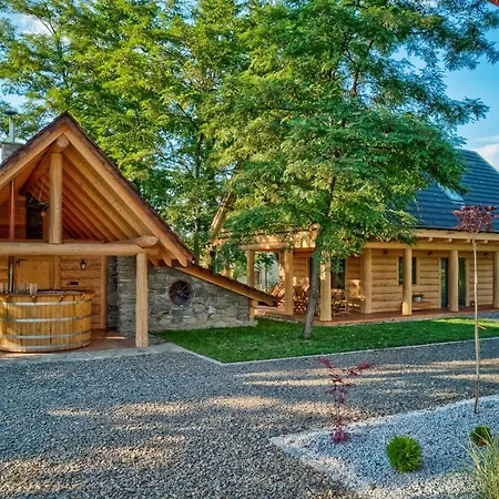 Beskidzka Przystan 別荘 *